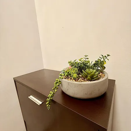 студио в централната част на - The *