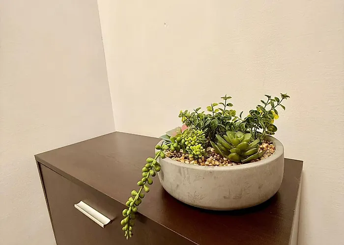 студио в централната част на - The *